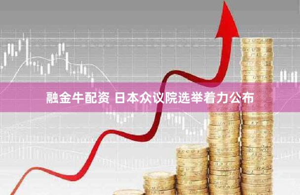 融金牛配资 日本众议院选举着力公布