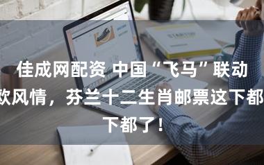 佳成网配资 中国“飞马”联动北欧风情，芬兰十二生肖邮票这下都了！