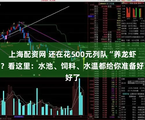 上海配资网 还在花500元列队“养龙虾”？看这里：水池、饲料、水温都给你准备好了