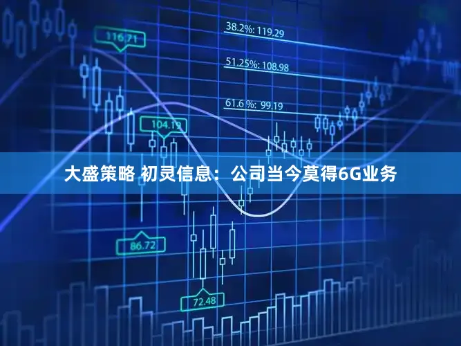 大盛策略 初灵信息：公司当今莫得6G业务