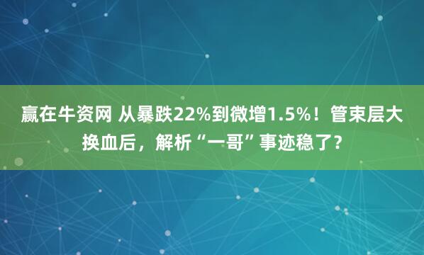 赢在牛资网 从暴跌22%到微增1.5%!管束层大换血后,解析“一哥”事迹稳了?