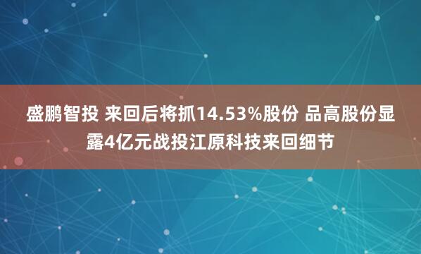 盛鹏智投 来回后将抓14.53%股份 品高股份显露4亿元战投江原科技来回细节