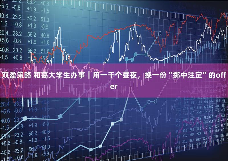 双盈策略 和蔼大学生办事｜用一千个昼夜，换一份“掷中注定”的offer