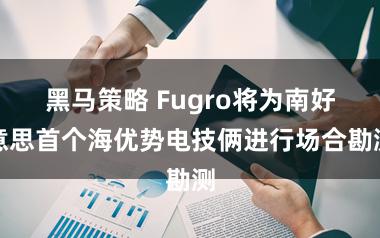黑马策略 Fugro将为南好意思首个海优势电技俩进行场合勘测