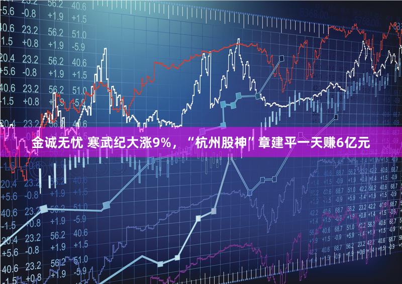 金诚无忧 寒武纪大涨9%，“杭州股神”章建平一天赚6亿元