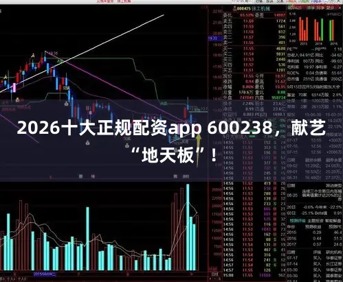 2026十大正规配资app 600238,献艺“地天板”!